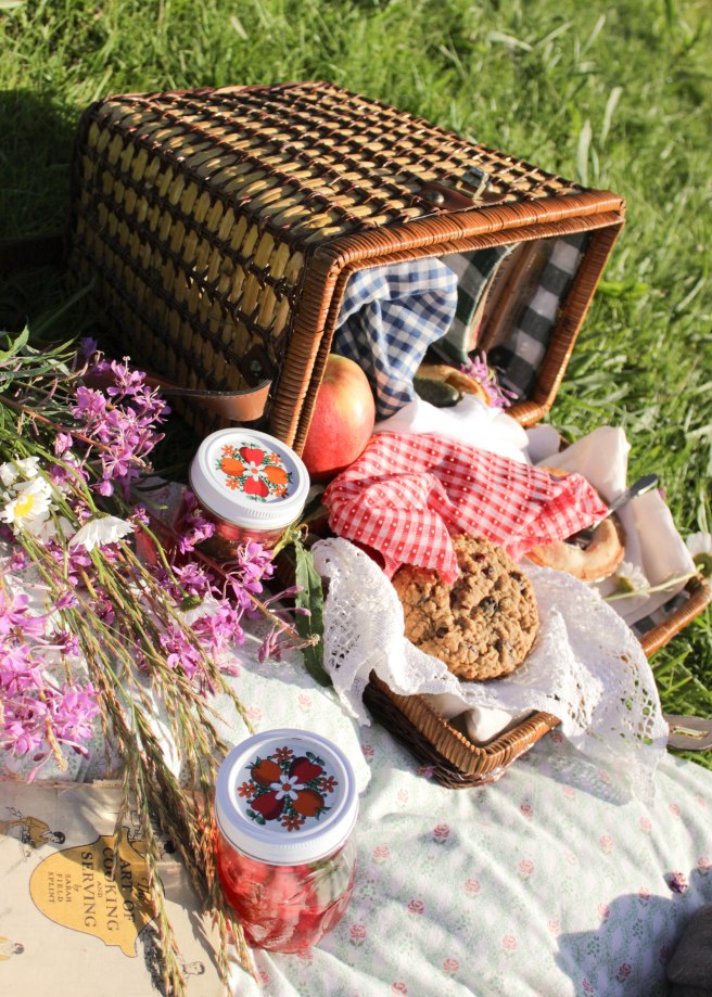 picnic; Andrea Michelle Photography