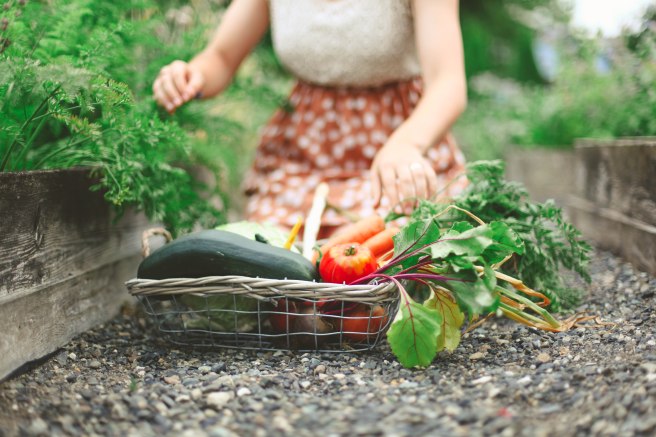 veggie garden basket; LanaJenae Photography